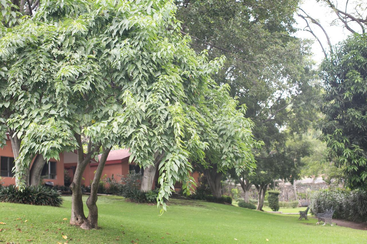 Hotel Jacarandas Cuernavaca Exteriör bild